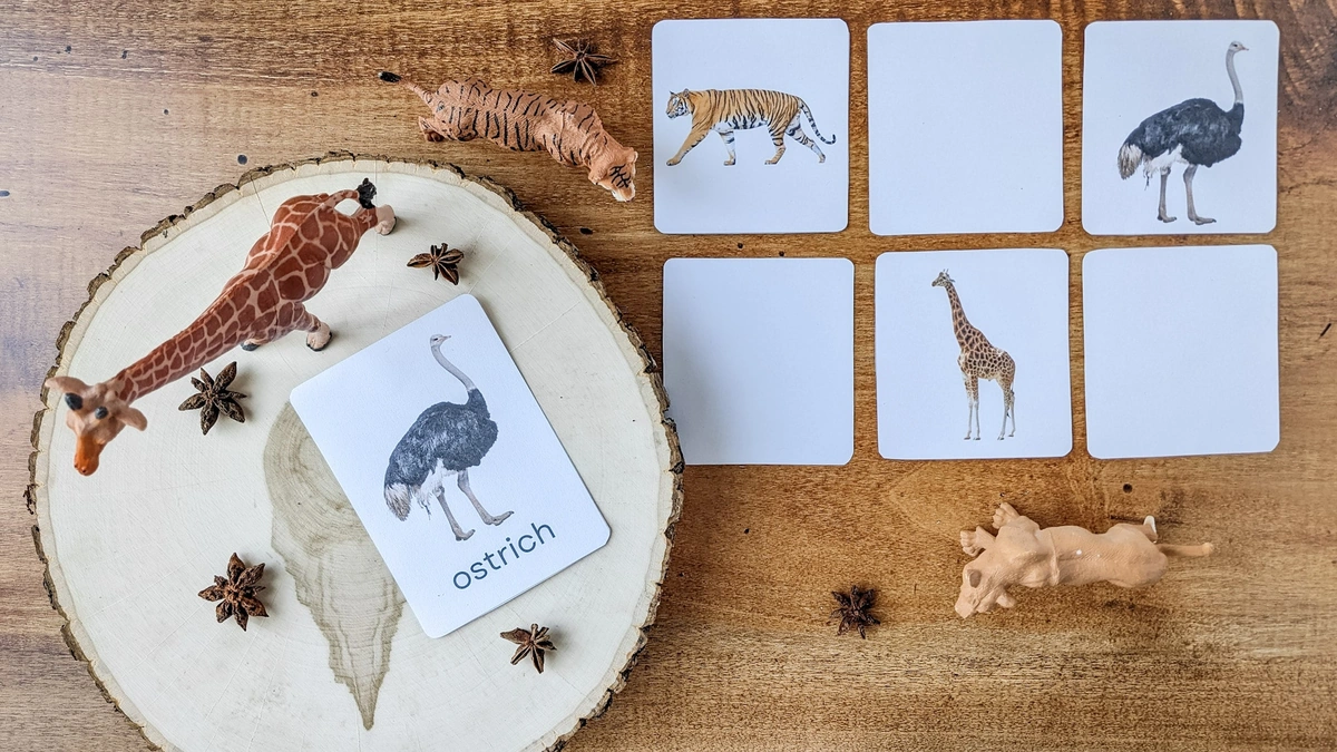 Unlock Genius | Animal Matching Games For Preschoolers